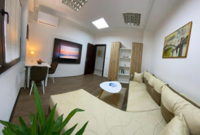 Apartment in the city center